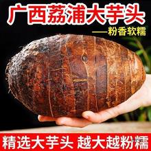 �V���������^���r�����^�ﮔ��������ë���^�����^ܛŴ���