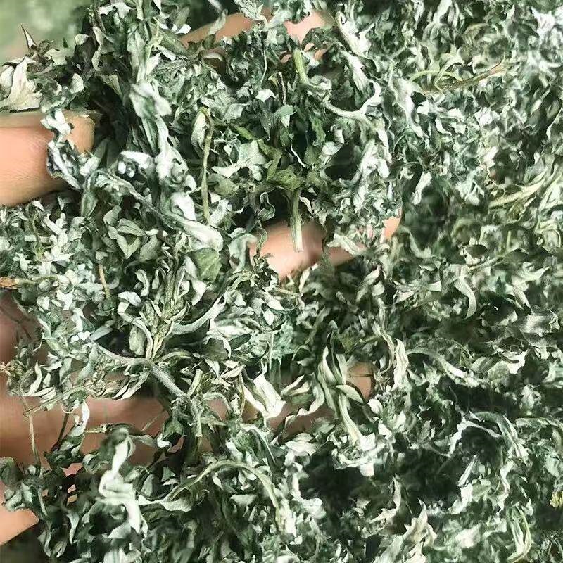 Wild Dried Mugwort Leaves Ai Ye Foot Soak Pack Traditional Chinese Herbal Bath in use