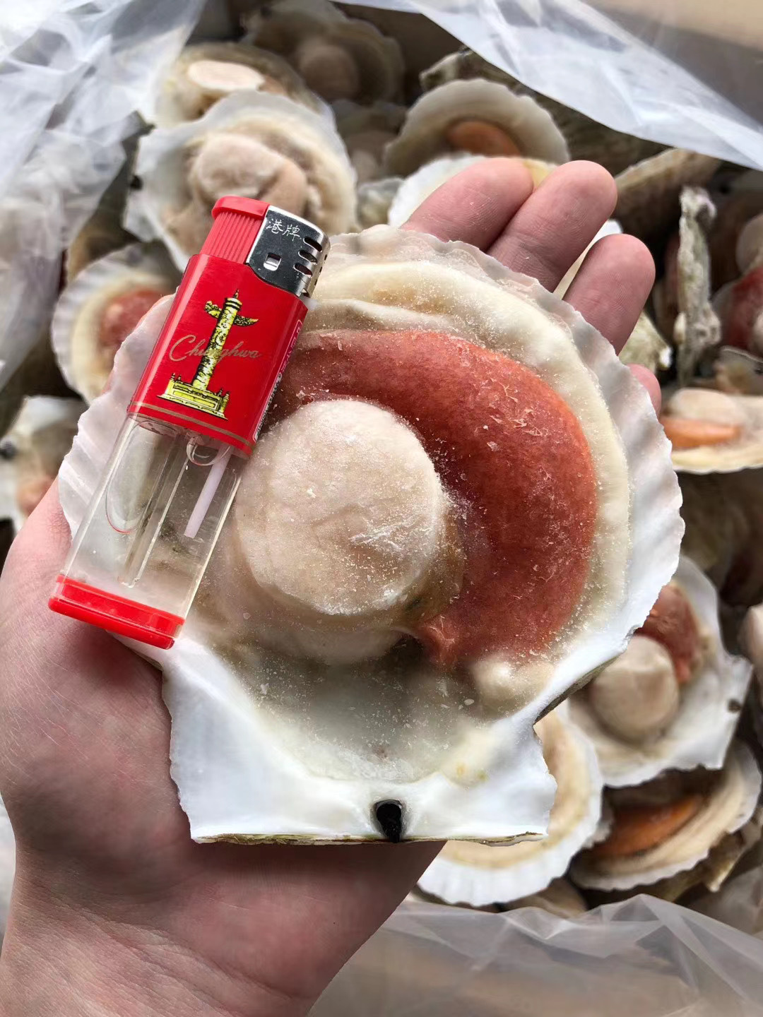 2020_06_23_13_17_IMG_7983