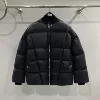 Zhou Bichang's same style black tortoise style