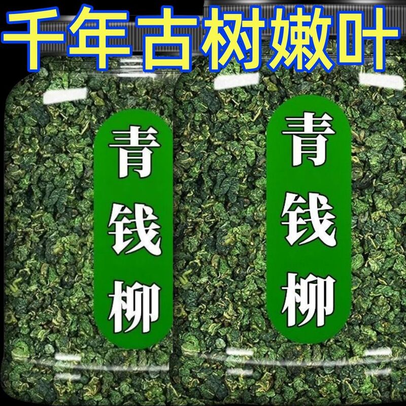 【植物】江西修水野生青钱柳原产地青钱柳茶金钱柳茶叶|undefined