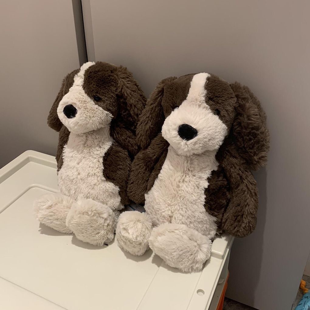 英國jELLYCAT害羞西班牙獵犬活潑乖巧軟綿綿小狗毛絨玩具送禮物批