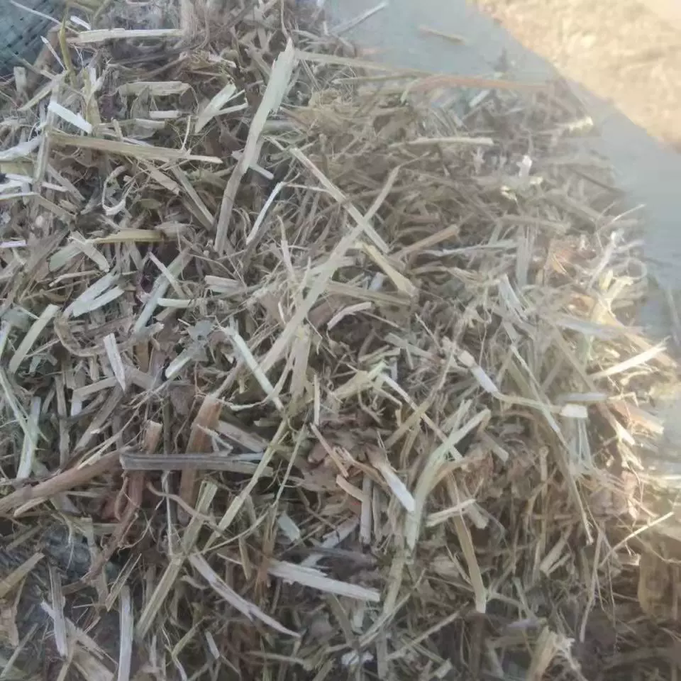 批发花生秧秸秆柔丝麦桔做饲料用 牛羊宠物饲养干草饲料