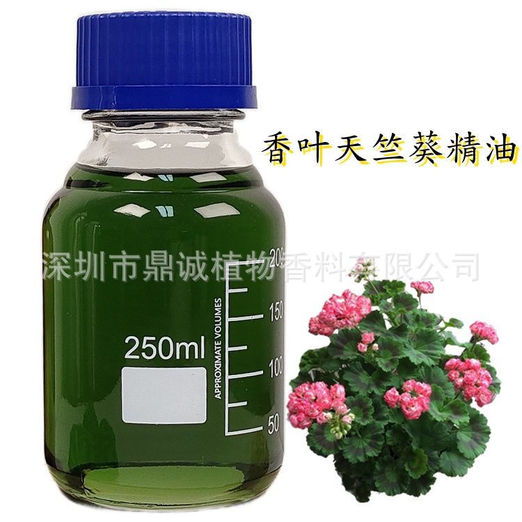 【茎叶精油】各种天竺葵精油由天竺葵蒸馏提取香薰单方护肤纯精油