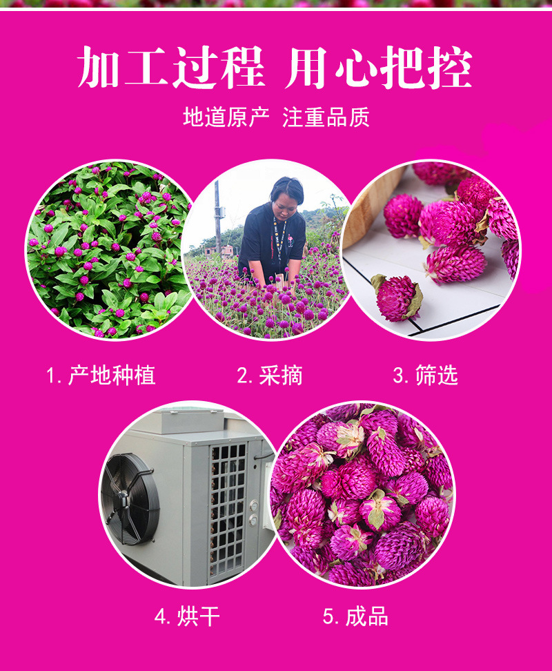 Qian Ri Hong Dried Flowers (Gomphrena globosa) — Yunnan Globe Amaranth Herbal Tea, 500g Loose preparation