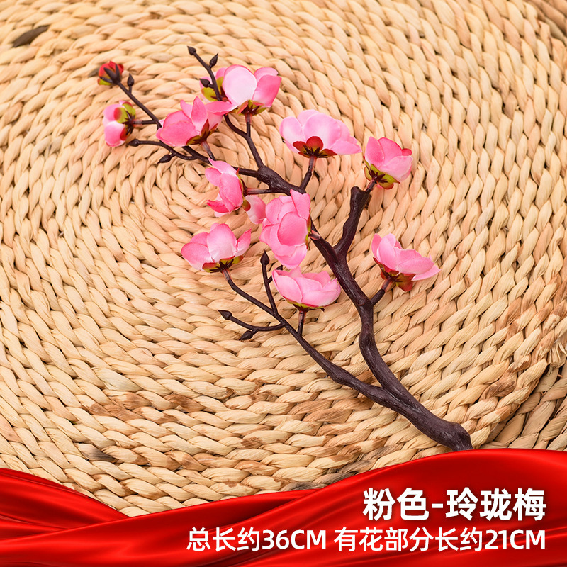 분홍색 절묘한 매화