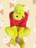 Winnie the Pooh