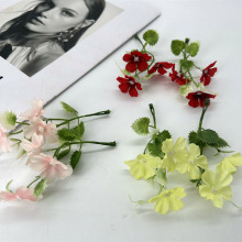 ����3��С�� DIY�������ՔzӰ������c���ò�������ٻ����l