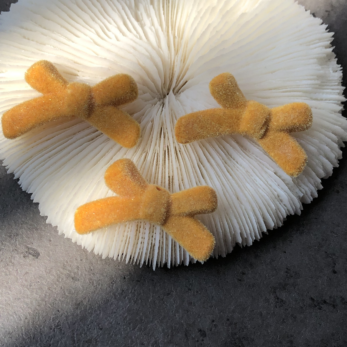 微信图片_20221002181459