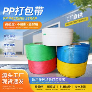 PP�������ɫ���������b�����f����o�����������S�F؛���b�Ĳ�