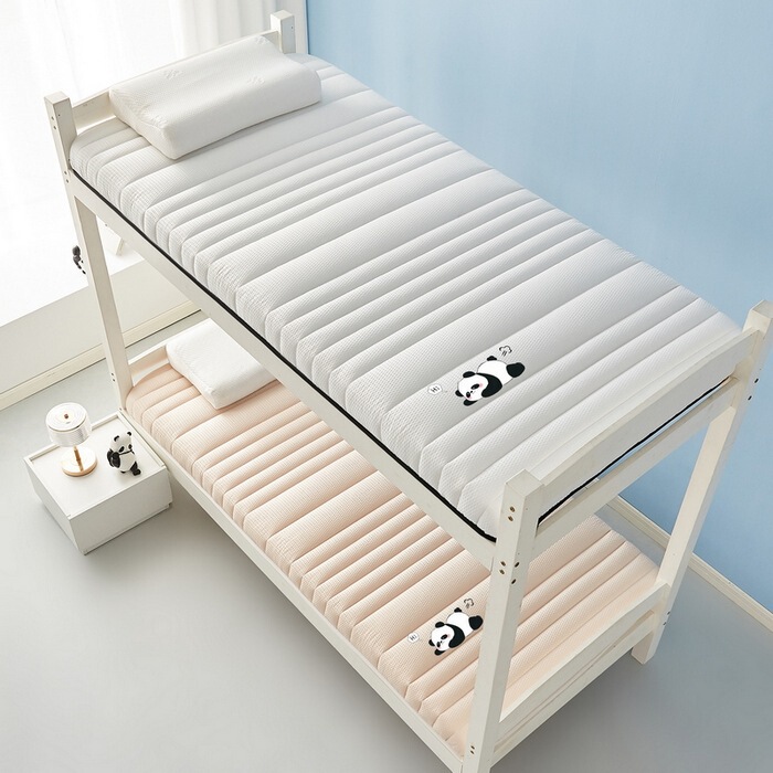 2025 Bubble Cotton Anti-Pressure Hard Thickeneded Mattress Student Dormitory Soft Cushion Rental Special Single Non-Slip Sleeping Pad