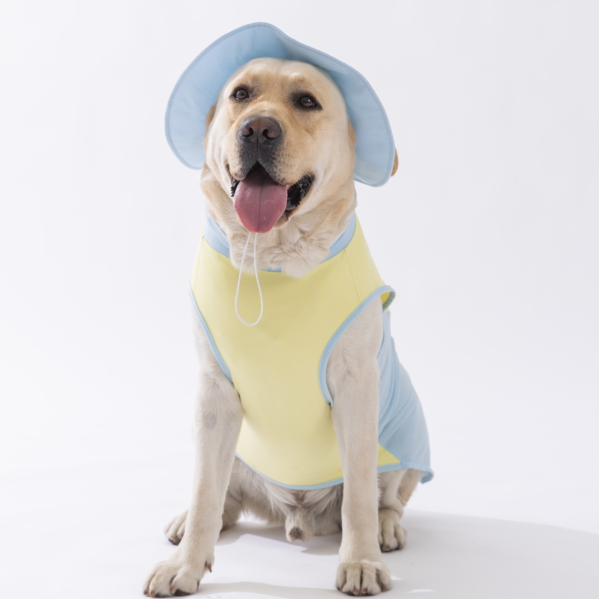 [Preventa] Chaleco fresco de malla de alta calidad para perros de verano, perro grande, golden retriever, ropa para mascotas, ropa fresca