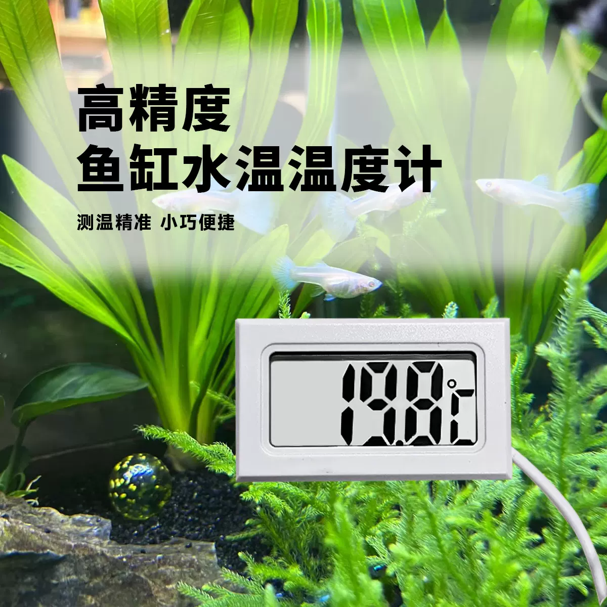 迷你嵌入式温度计冰箱温度计爬虫宠物电子温度计跨境新品家居电子