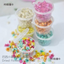 小星花花头diy干花包水晶滴胶无杆花材料包玻璃球填充物彩麦太保
