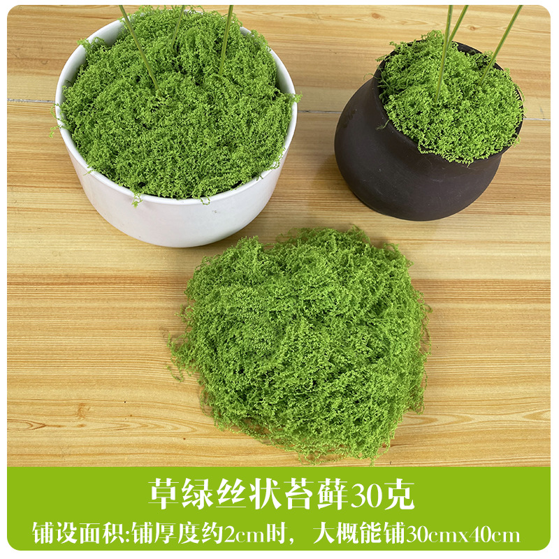 Simulación de césped de seda de musgo, paisaje de musgo biónico, plantas verdes, bonsai, pavimento de paisajismo, decoración de musgo falso, césped falso