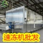 冷冻工业红薯黄桃速冻机