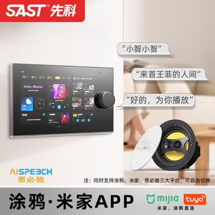 Free Shipping Xianke Ceiling Audio Home Living Room Home Theater Background Music Surround Ceiling Speaker Smart