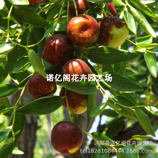 �½����ܴ����½�����޽ӱ��Ǵ󗗘����E�����箔��Y������