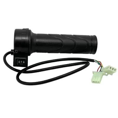 Colt Electric Vehicle Governor | Other Electric Vehicle Accessories