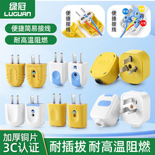 家用工业二极三极电源插头10A16A纯铜固定转动两脚电源线接线插头