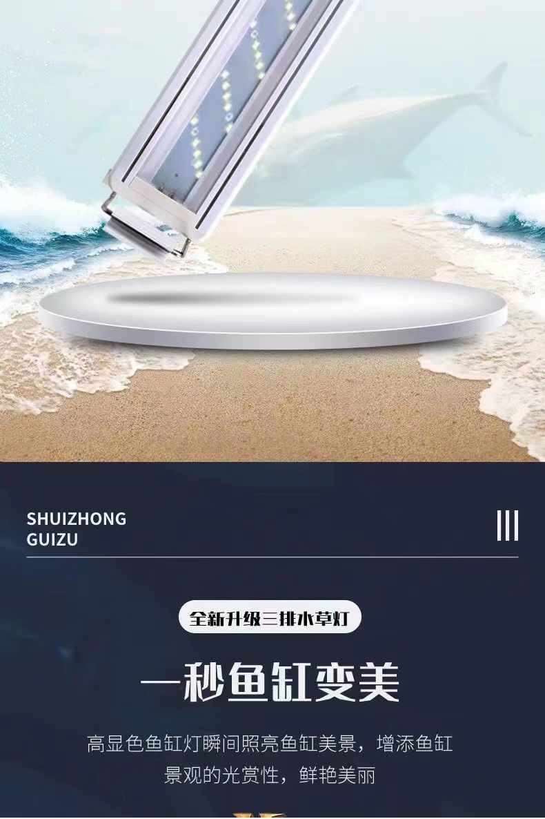 fabdaaf5-84ad-4240-a29f-46d96ccb7f9c.jpe