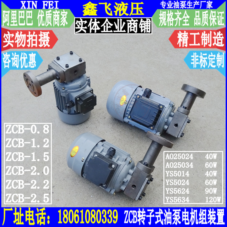 ZCB-0.8 ZCB-1.2 2.5转子式油泵电机组装置摆线针轮减速机循环泵