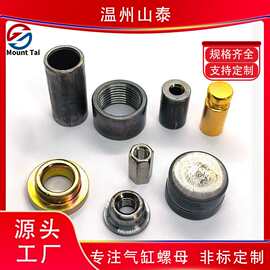 工厂螺母定制非标圆螺母 台阶螺母 法兰螺母 内六角螺母 加长螺母