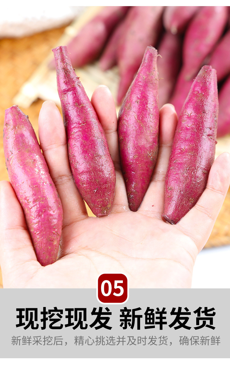 3ffec042-c7e3-4590-a5f6-f2abfc9a6c75.jpe