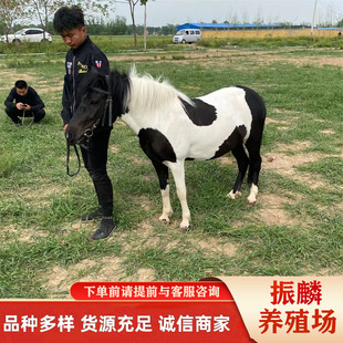 �m��С���T�˵Ĝ���O���m���R ����±����_�R�������u