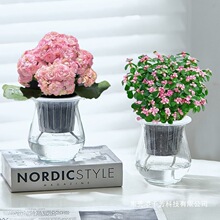 ����ϼ�L�ۻ����Ԏ������ļ��_���҃�����ˮ��ֲ���k�����Gֲ����