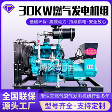 ��Ȼ���Ӛ�l늙C�M�B�i���Ӛ�l늙C���~�oˢ30kwȼ��l늙C�M