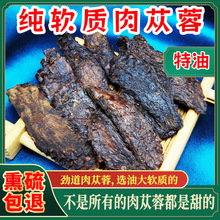 ɐƷݏƬi޽ڬŮؑӽMݾƺ؛