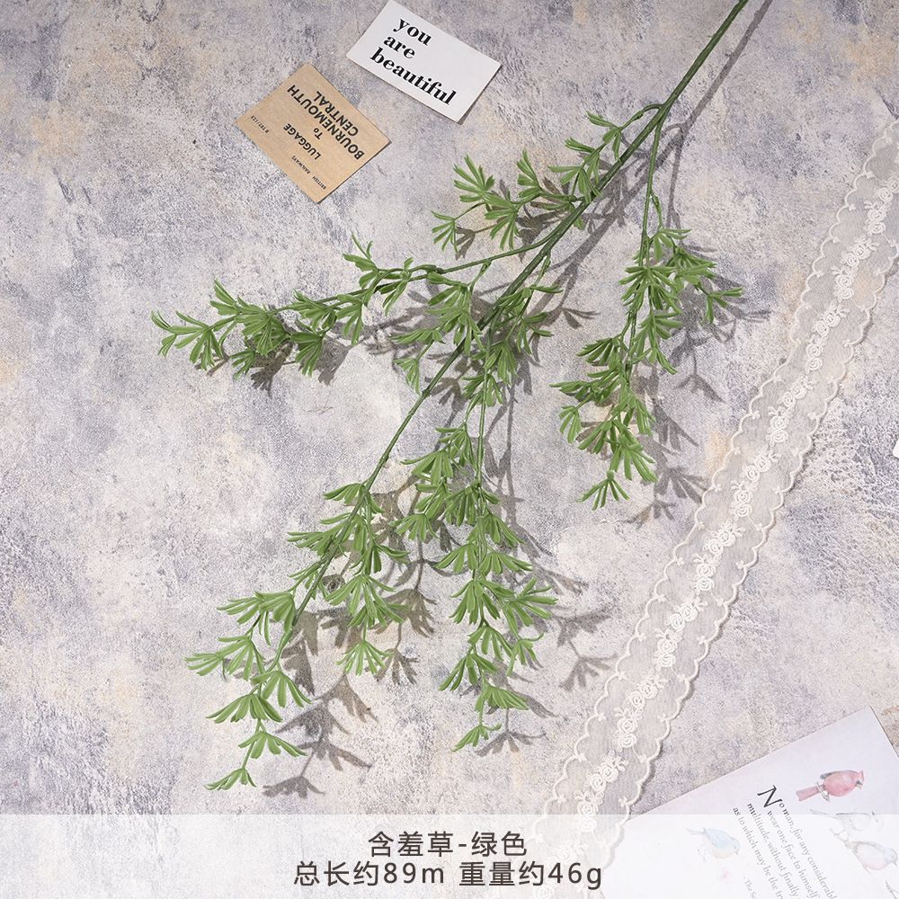 แอล-มิโมซา-กรีน