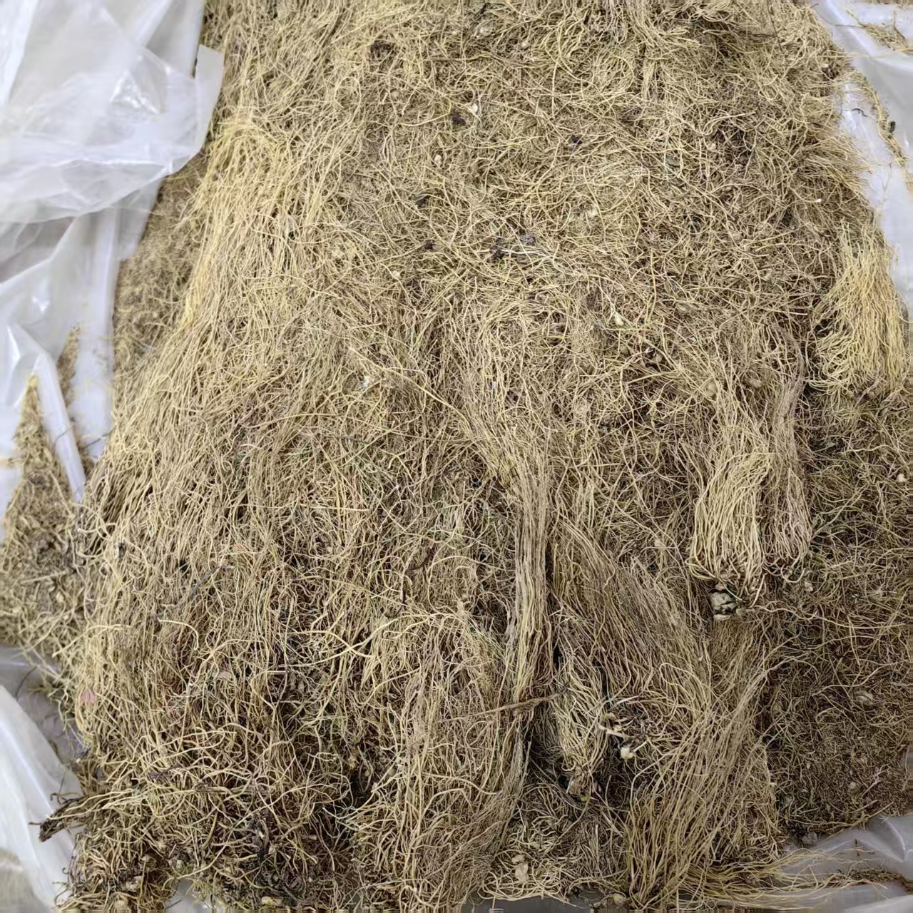 Asarum Powder Xi Xin 细辛 Dried Chinese Wild Ginger Herb Powder 500g Traditional Herbal Ingredient specifications