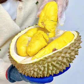 马来西亚D197猫山王榴莲4-5头冷冻液氮新鲜水果带壳整个源头直销