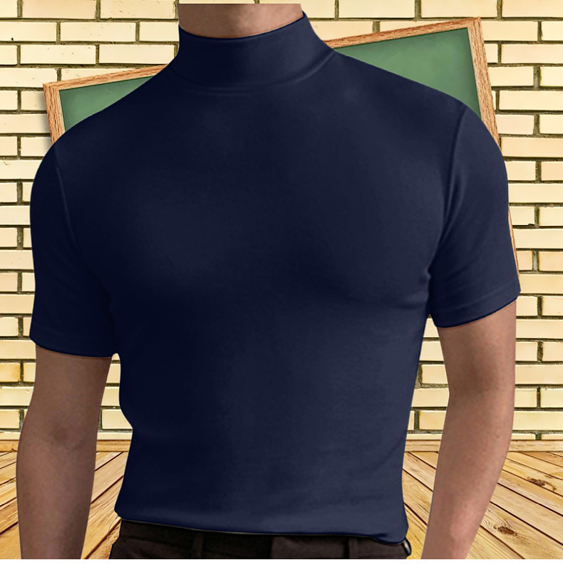 Hombres Color Sólido Estilo Simple Suéter Tipo Con Cuello De Tortuga Manga Corta Ajuste Regular Camiseta Hombre display picture 1