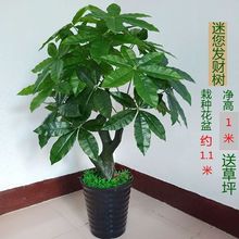 ����lؔ��Gֲ�ߙn�ٻ����������ؔ�͏d�҃Ȕ[�Ž��X��t��