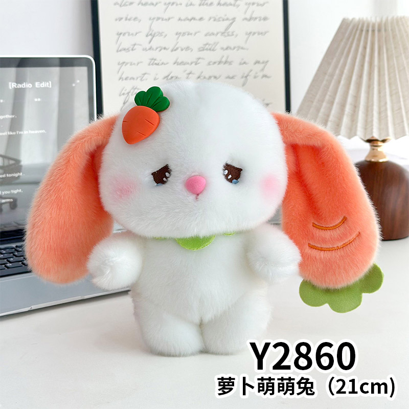 Carrot and cute rabbit