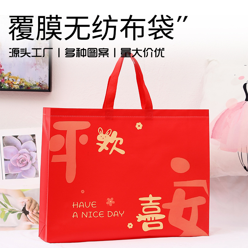 Cloth bag non-woven cloth