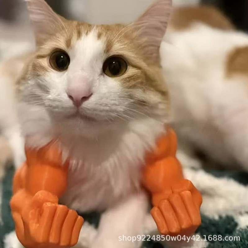 クリエイティブ グリーン ジャイアント アーム 3D プリント Amazon の新しい猫に着用された筋肉質の腕|undefined