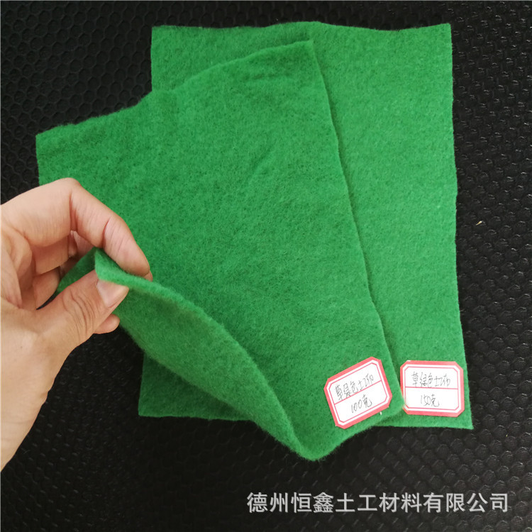 防尘墨绿色土工布建筑工程环保园林绿化防沙盖土100g草绿色土工布