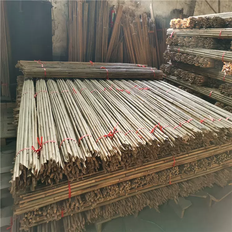 供应福建厘竹 茶竿竹 超市包装 竹竿