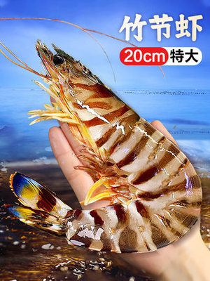 Nine shrimp Super large Prawns Bamboo shrimp Prawns Seafood Aquatic products Fresh Quick-freeze Black Tiger Shrimp Shrimp
