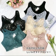 大连工厂Aiyang外贸大码聚拢蕾丝内衣薄款透气收副乳舒适性感文胸