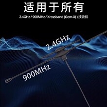 RadioMaster IPEX1 2.4GHz / Sub-G 900MHz �p�l T ���쾀