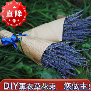Xinjiang Yili Lavender Dried Flower Bouquet Wholesale British Orchid Bouquet Can Be Tied with Requirements of Immortal Dried Flowers New Arrivals