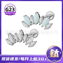 F136⁶����R���ʯ�ʹڴ�ᔿ羳���uG23⁺Ͻ𴩴��Ʒ���