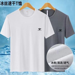 ��ʿ���bt�������ٸɾW���\�ӽ��������������e�����ļ�T���z����
