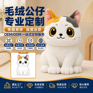 2026��������؈��ë�q������ż��߶���OEM ODM��D��� Դ�^���S