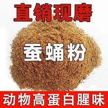 纯蚕蛹粉钓鱼用鱼饵浓腥打窝料特腥散装饵料水库虾粉饲料野钓通杀